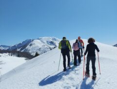 250308 Inxpect in Gaver 3