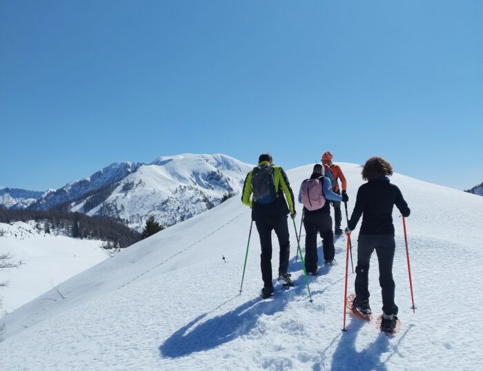 250308 Inxpect in Gaver 3