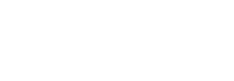 Nevo sector